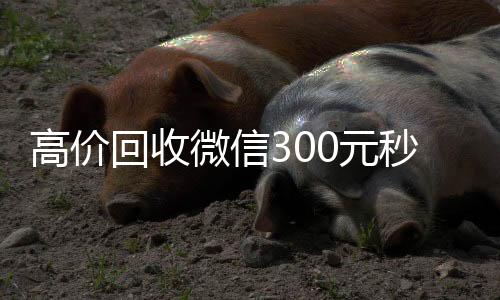 高价回收微信300长期收购微信号元秒结（高价回收vx300元秒结）